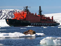 Комиссия ООН одобрила заявку России на морское дно Северного Ледовитого океана