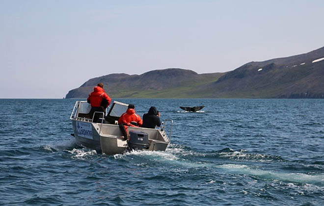Фото: park-beringia.ru Фото: park-beringia.ru