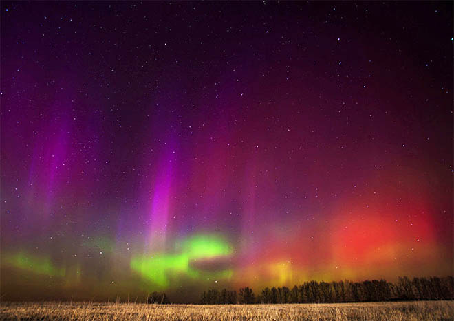 Фото: ru.arctic.ru