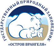 «МЕДВЕЖИЙ РОДДОМ» НА СТЫКЕ МОРЕЙ