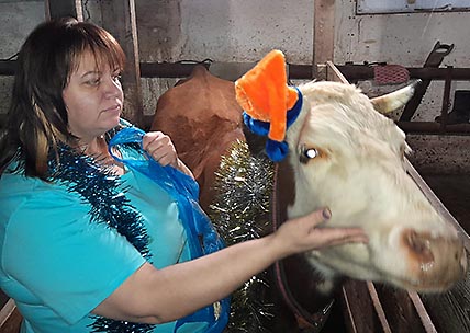 4-летняя рыжуха – одна из дойных коров в крестьянско-фермерском хозяйстве марковчанки Веры Ковригиной. ФОТО: ИЗ АРХИВА ВЕРЫ КОВРИГИНОЙ 4-летняя рыжуха – одна из дойных коров в крестьянско-фермерском хозяйстве марковчанки Веры Ковригиной. ФОТО: ИЗ АРХИВА ВЕРЫ КОВРИГИНОЙ