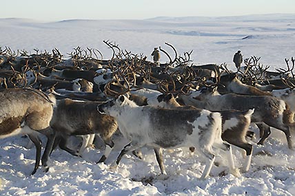 ФОТО: АРКАДИЙ СУХОНИН