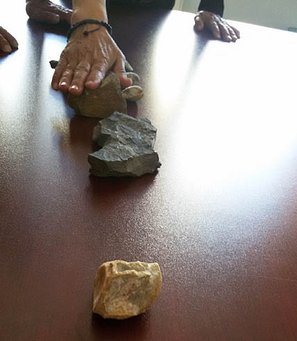 ДРЕВНИЙ ЛЕС ОБНАРУЖИЛИ ПОД АНАДЫРЕМ