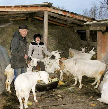 ТРИ УЧАСТКА ДОЖДАЛИСЬ ХОЗЯЕВ