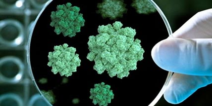 ИСТОЧНИК ВИРУСА НАШЁЛСЯ В... ДЕТСАДУ