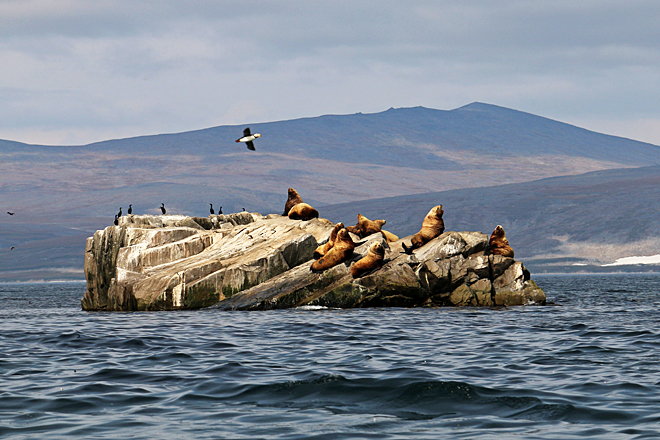 Волшебный мир «Берингии»