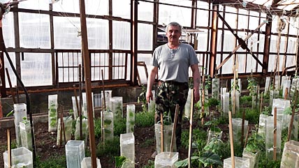 «ТЕПЛИЧКА» НАРАСТИТ ОБЪЁМЫ