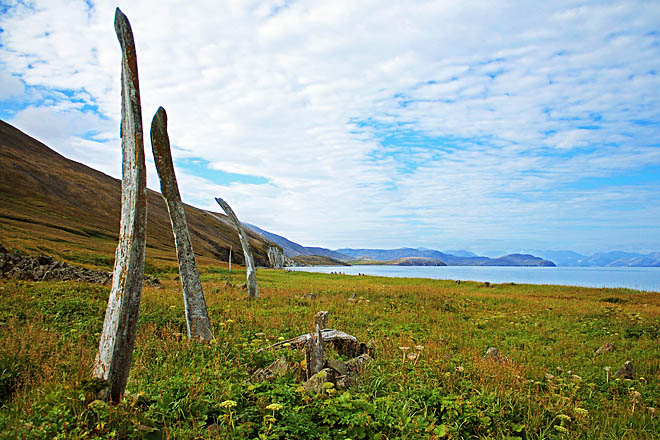 В тур по Арктике
