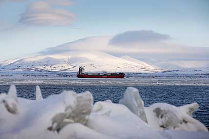 ОТ ЮЖНЫХ МОРЕЙ ДО ПОЛЯРНОГО КРАЯ