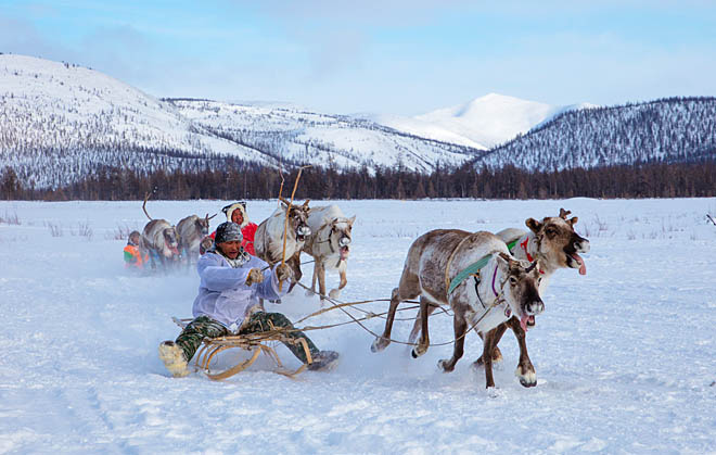 Нет быстрее оленей Кайэттына