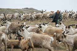 ГОД ОЖИДАЕТСЯ УСПЕШНЫМ