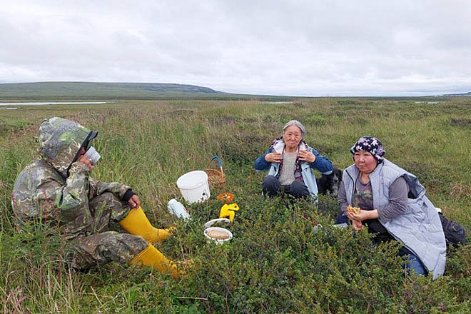 «Тихая охота» на Хиузной
