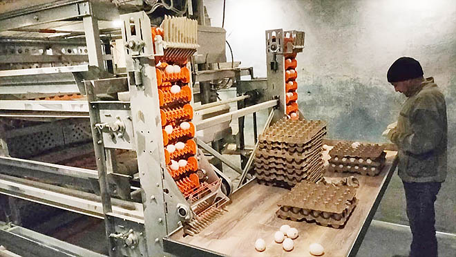 «КорепОво» – это бренд!