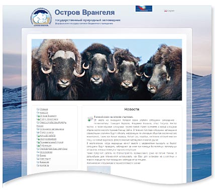 В «ПОЛЕ» ВЫШЛИ ПОДГОТОВЛЕННЫМИ