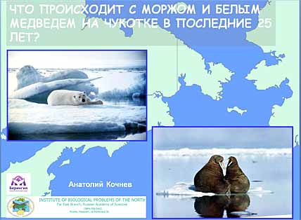 ЛЁД КАК МЕСТО ДЛЯ ЖИЗНИ