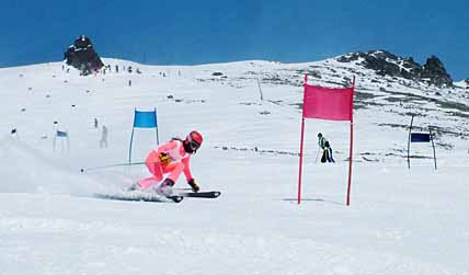 С «ЧЕРЕПАХИ» НЕ ПО-ЧЕРЕПАШЬИ