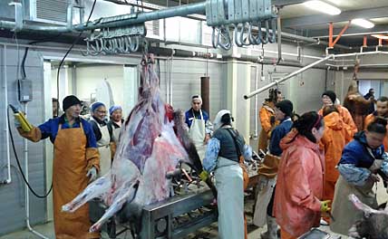 КУДА ПРОПАЛА ОЛЕНИНА?