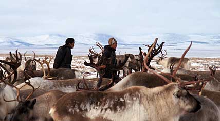 ПРИВЛЕЧЬ В ПРОФЕССИЮ