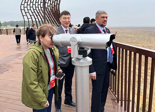 На озере белых журавлей