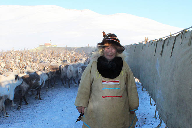 Олени ждали его