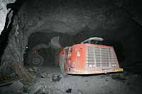 МАЙСКОЕ ЗОЛОТО НА ПОДХОДЕ