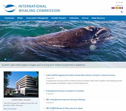 КИТЫ И КВОТЫ