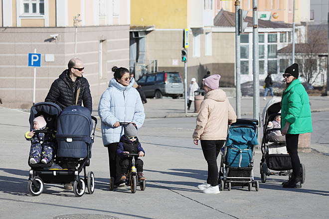 Под крылом государства