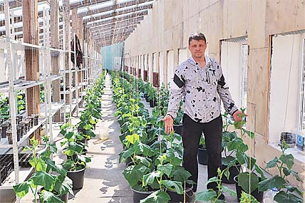 ОВОЩНОЙ ПРОЕКТ МАКСИМА ВЕРБИНА