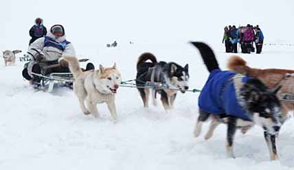 ГОНКА ТЕРЯЕТ КАЮРОВ