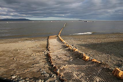 СЕТИ ЗАКИНУТ ПО ОЛИМПИЙСКОЙ СИСТЕМЕ