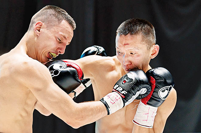 Полярный волк в своей стихии