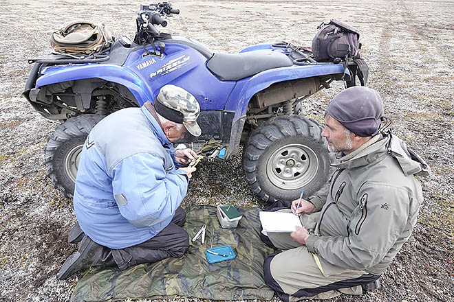 Без «Путёвки в жизнь»