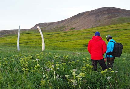 ФРАНЦУЗ И АРКТИКА