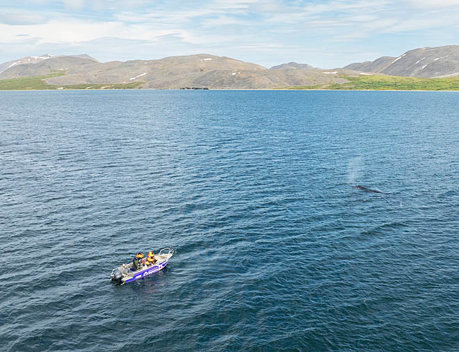 «Берингия» зовёт