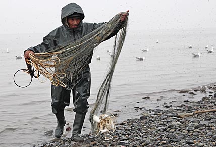 ПОРА РАСПУТАТЬ СЕТИ