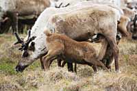 ПОДВЕДЕНЫ ИТОГИ ОТЕЛА