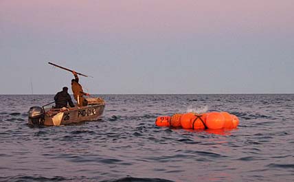 НА ЛОВЦА МОРЗВЕРЬ БЕЖИТ