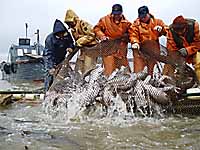 В ШЕСТЕРКЕ ЛУЧШИХ