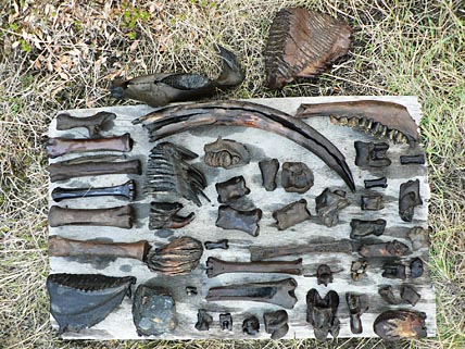 НАУКА О ДРЕВНОСТЯХ  НЕ ТЕРПИТ ГРАНИЦ