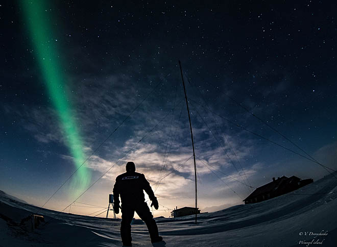 Остаются зимовать