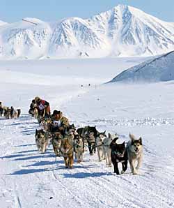 НАПЕРЕГОНКИ СО ВРЕМЕНЕМ