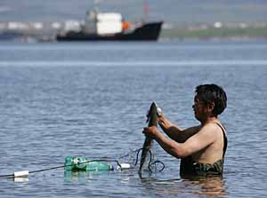 ПРОБЛЕМУ ВЗЯЛИ ЗА ЖАБРЫ