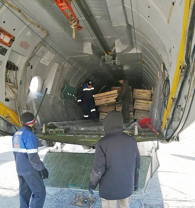 Удвоение поголовья птицефабрики в Провидения позволит вскоре полностью обеспечить яйцом муниципалитет