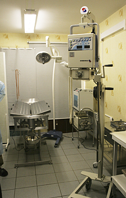 ПРОГРАММА ДОКАЗАЛА ЭФФЕКТИВНОСТЬ