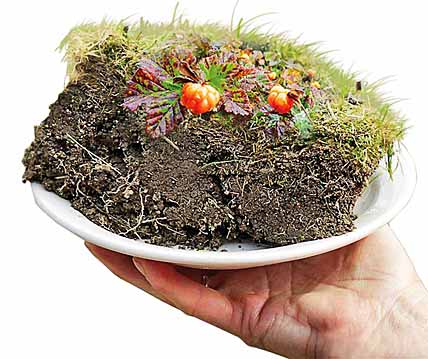 «ДАЛЬНЕВОСТОЧНЫЙ ГЕКТАР» РАЗМЕНЯЛ СТО ТЫСЯЧ