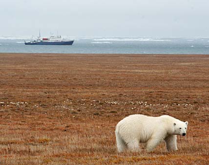С МИССИЕЙ –  НА ВРАНГЕЛЯ