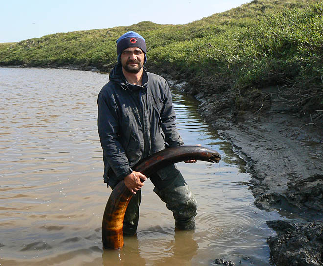 А был ли саблезубый?