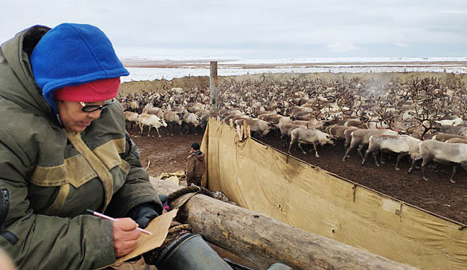 Ставка на рост поголовья