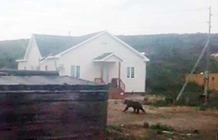 БУРЫЙ НАВЕДАЛСЯ В ДАЛЬНИЕ СЁЛА