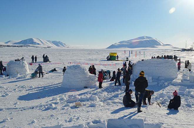 Что им стоит иглу построить